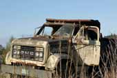 Old GMC dump truck abandoned in classic car wrecking yard