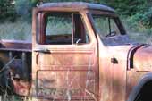 Rusty but stock 1950's Willys jeep pickup truck in classic car junk yard