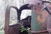 Vintage heavy-duty truck cab in vintage truck salvage yard