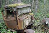 Moss covering early Ford pickup truck in classic car junkyard