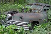 Amazingly straight and original Packard sedan stored in vintage car salvage yard