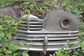 Restorable Packard sedan project car in vintage car junkyard