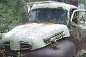 1940's vintage Ford pickup truck stored in classic car junkyard