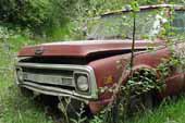 Vintage Chevy pickup truck stored in old car junk yard