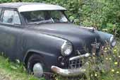 Rare Studebaker sedan project car in vintage car wrecking yard