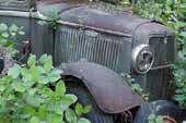 Restorable 1930's Ford pickup truck stored in classic car junk yard