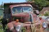 Very original 1940's Ford truck at classic car junk yard